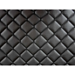 Шкірозаміник